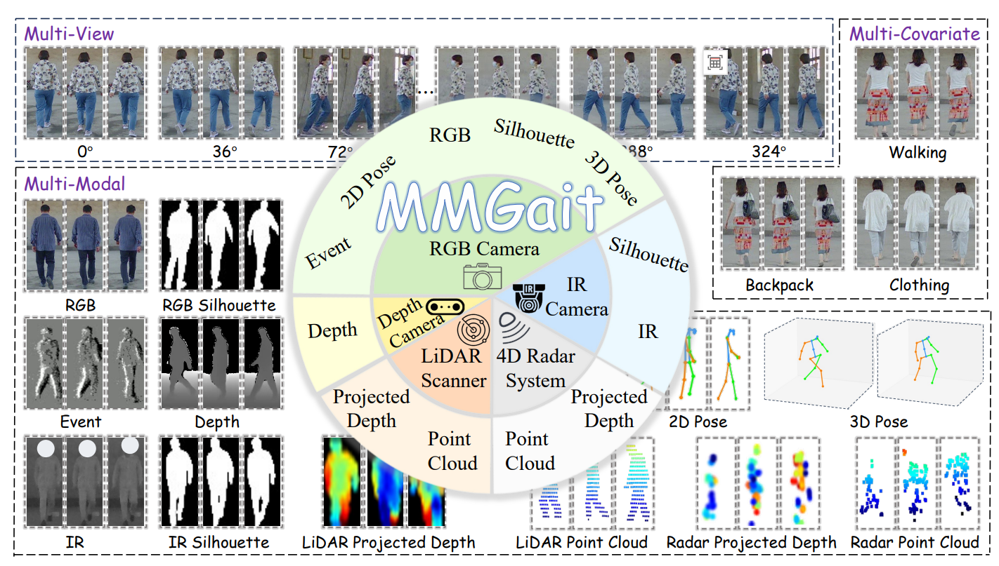 MMGait: Towards Multi-Modal Gait Recognition